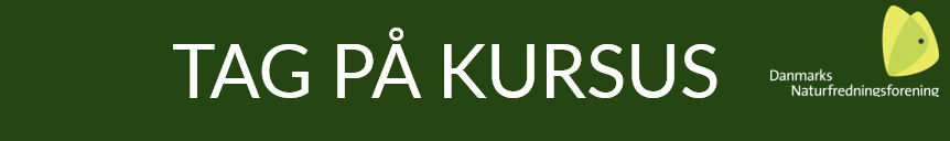 Tag på kursus