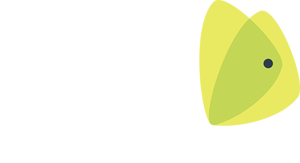 DN-logo_hvid_skrift_CMYK_small